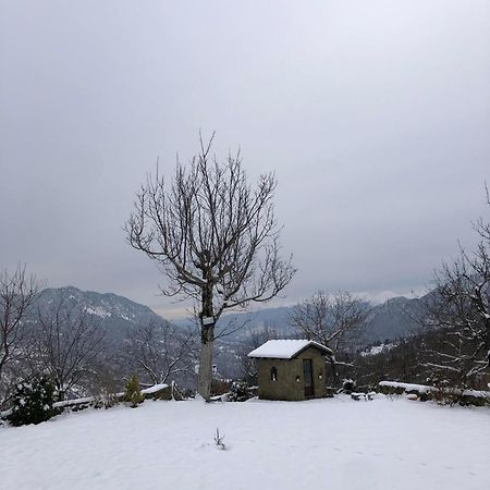 Παραδοσιακή Πέτρινη Κατοικία Στην Βλάχα Ελάτης Buitenkant foto