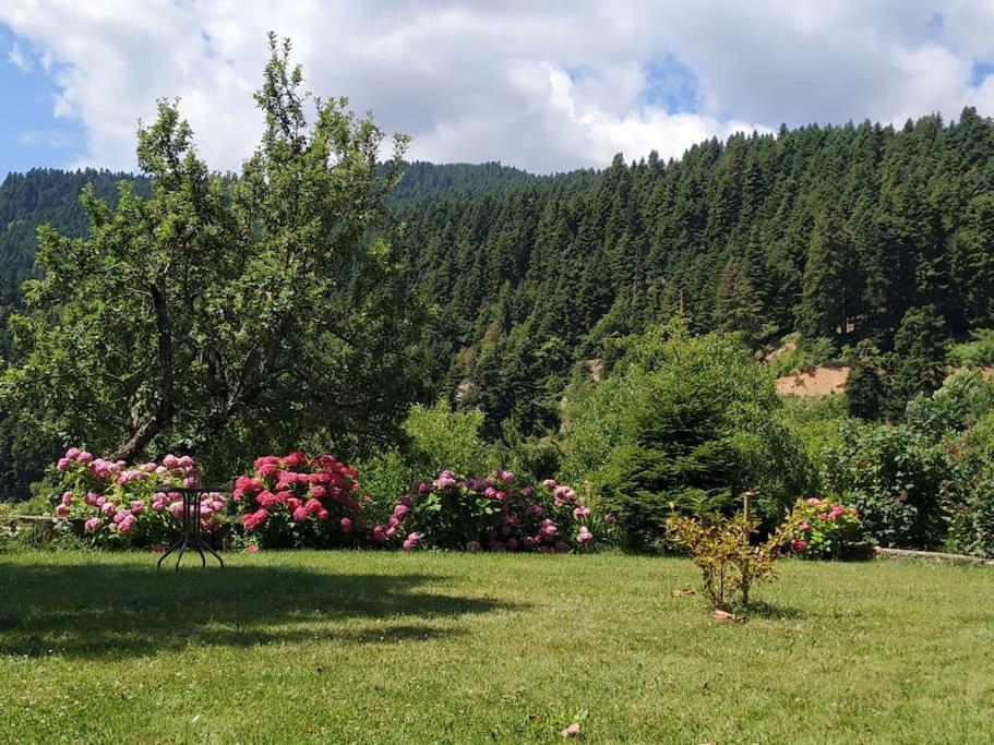 Παραδοσιακή Πέτρινη Κατοικία Στην Βλάχα Ελάτης Buitenkant foto