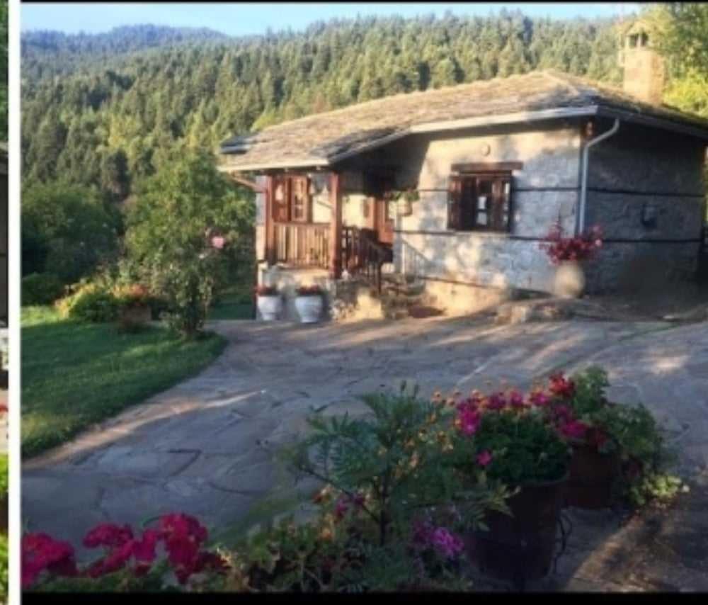 Παραδοσιακή Πέτρινη Κατοικία Στην Βλάχα Ελάτης Buitenkant foto